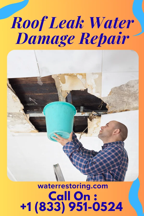 Roof Leak Water Damage Repair in Friona, TX